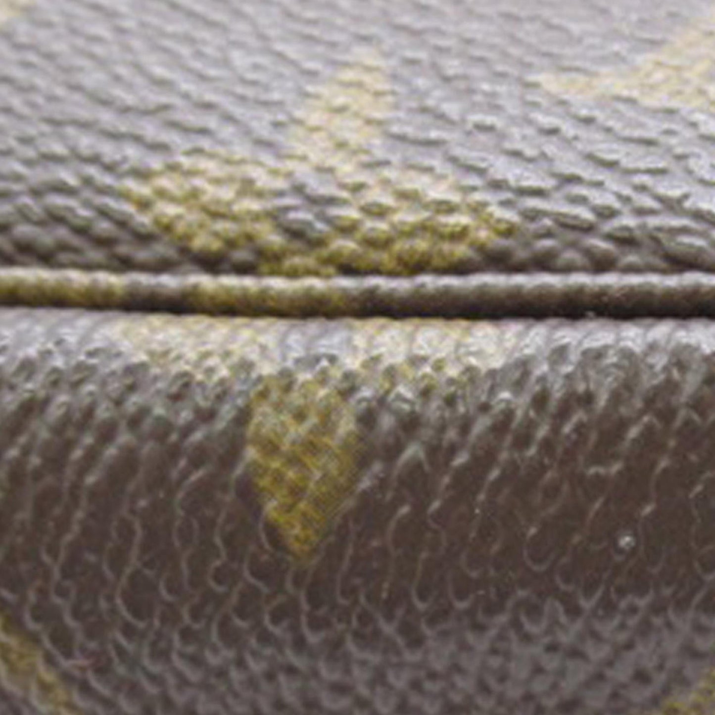 Louis Vuitton Monogram Pochette Accessoires (SHG-22PJ5n)
