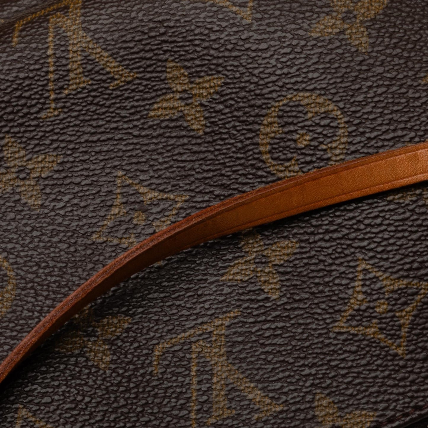 Louis Vuitton Monogram Pochette Accessoires (SHG-ccxyq6)
