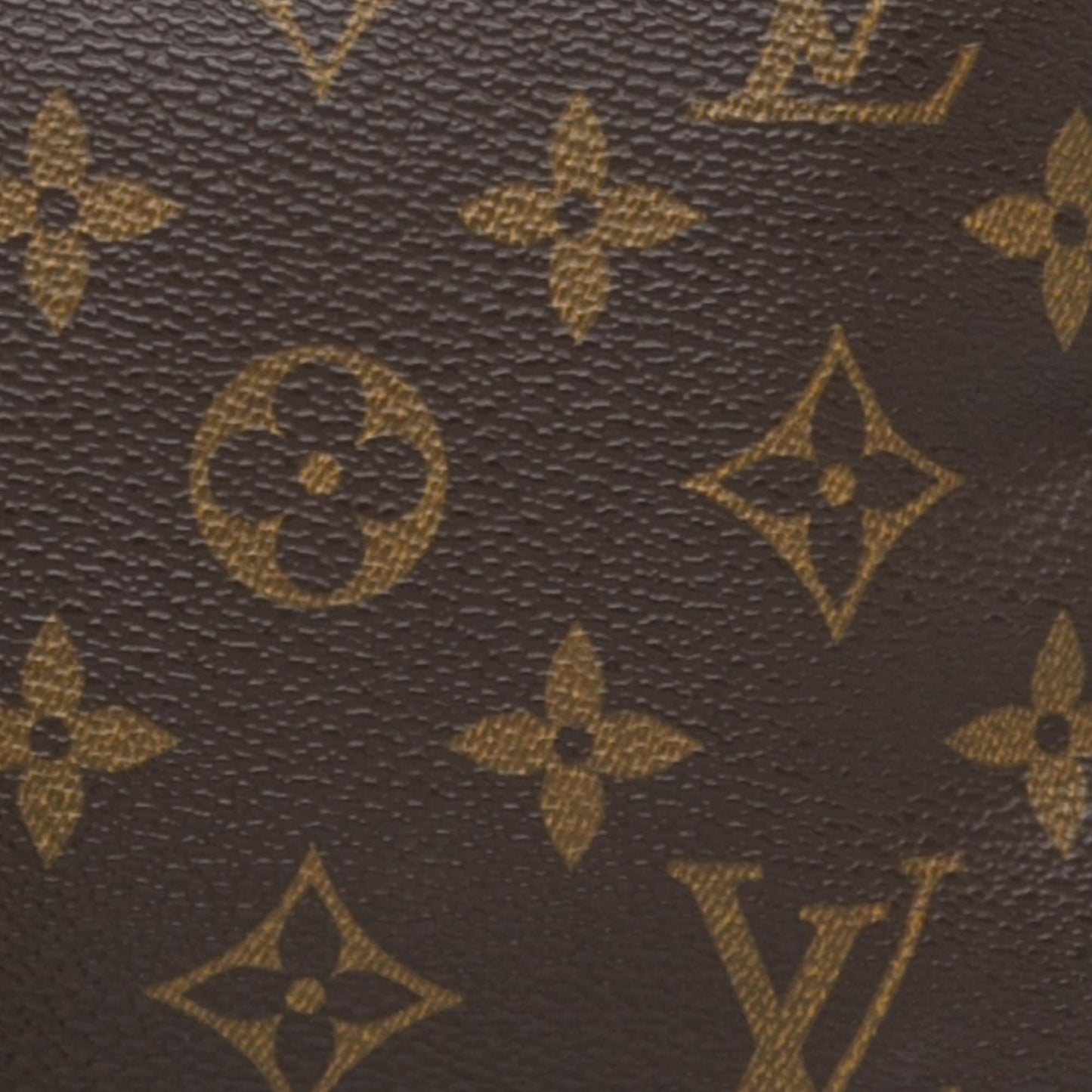 Louis Vuitton Monogram Pochette Accessoires