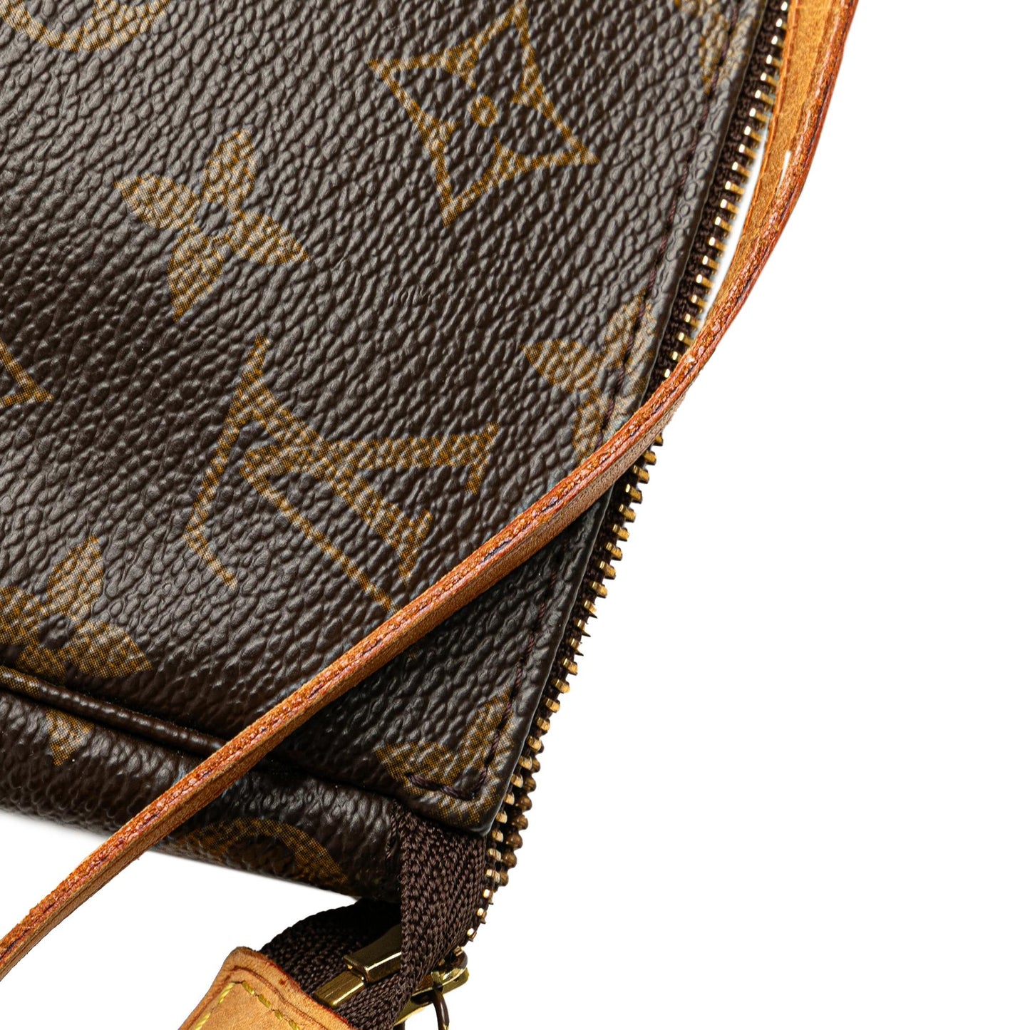 Louis Vuitton Monogram Pochette Accessoires