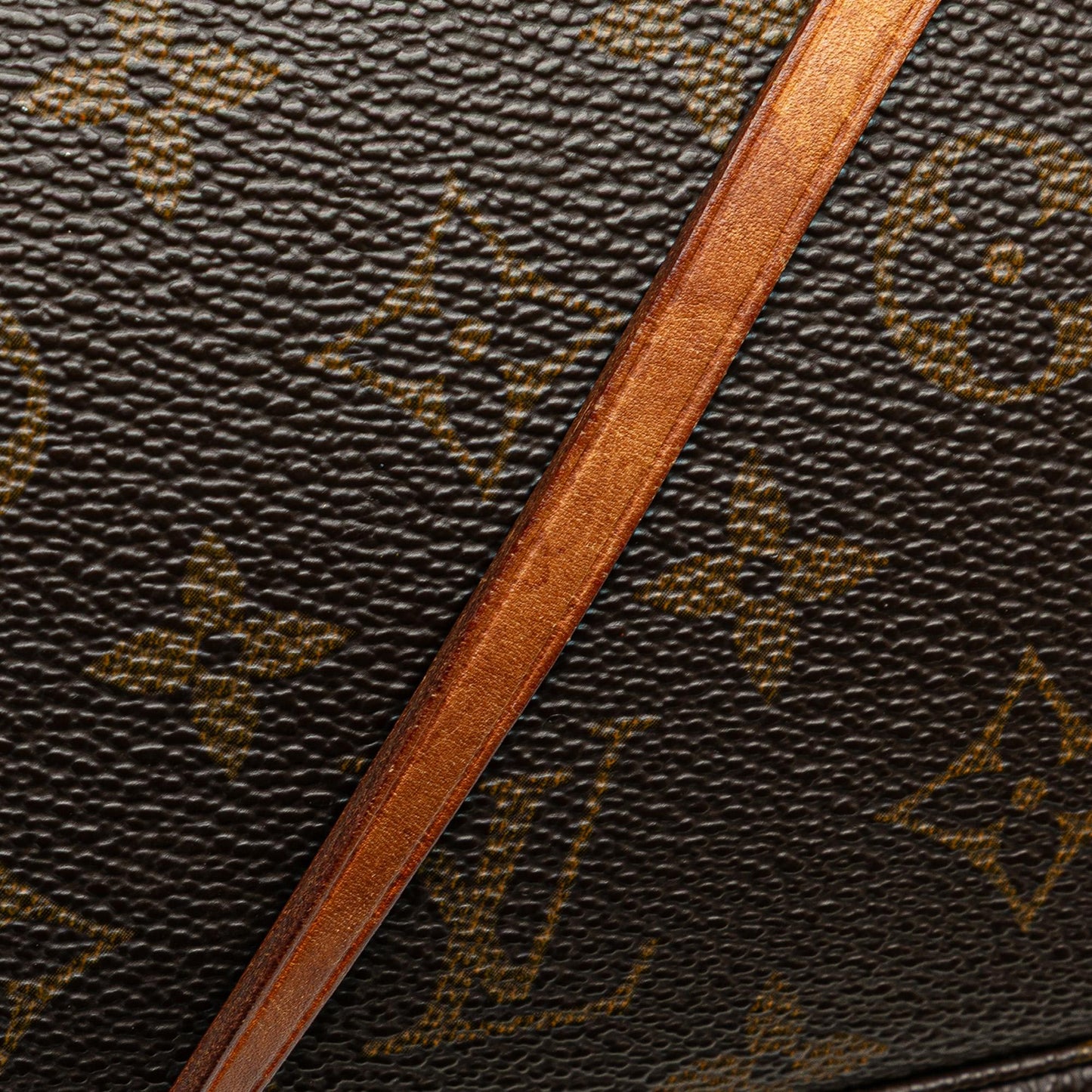 Louis Vuitton Monogram Pochette Accessoires