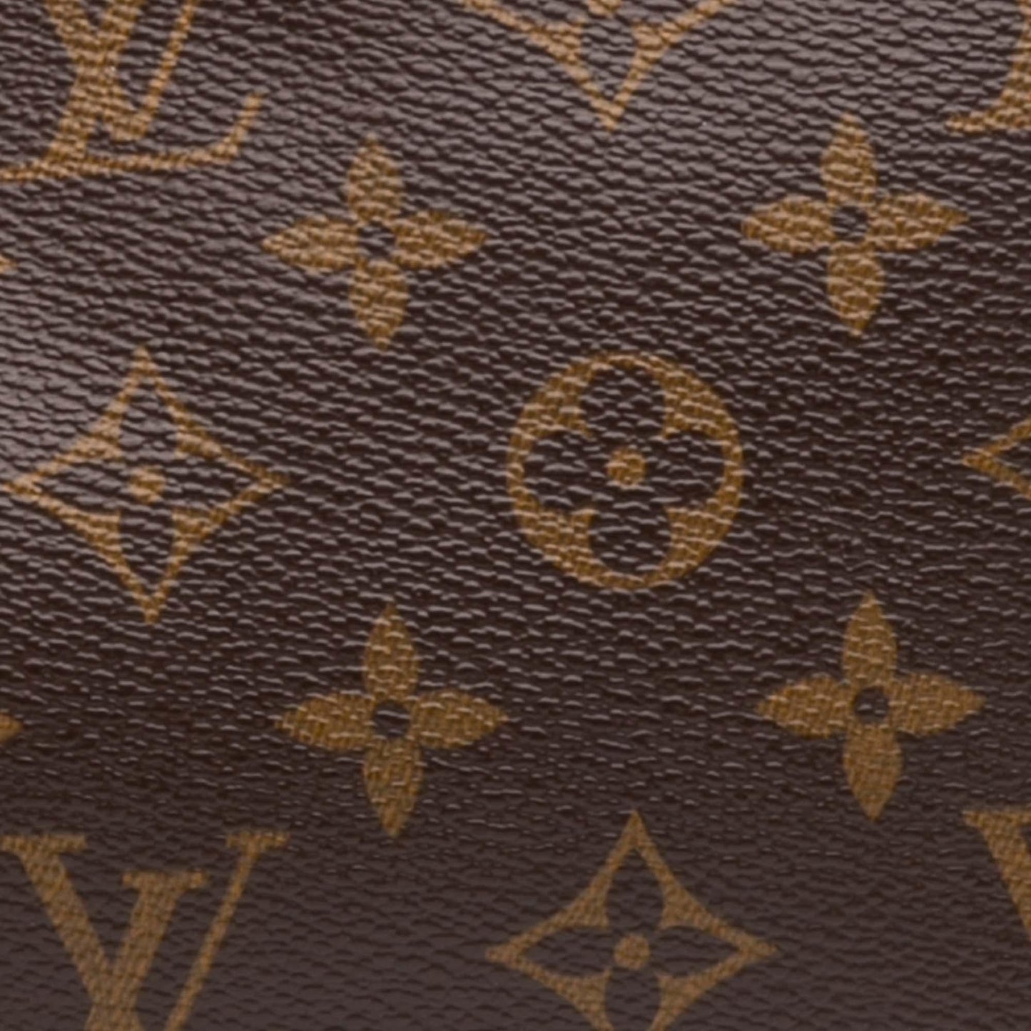 Louis Vuitton Monogram Pochette Accessoires