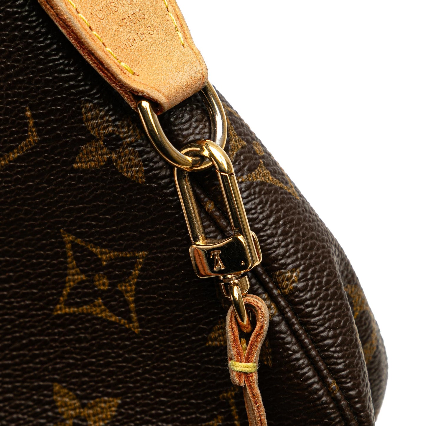 Louis Vuitton Monogram Pochette Accessoires