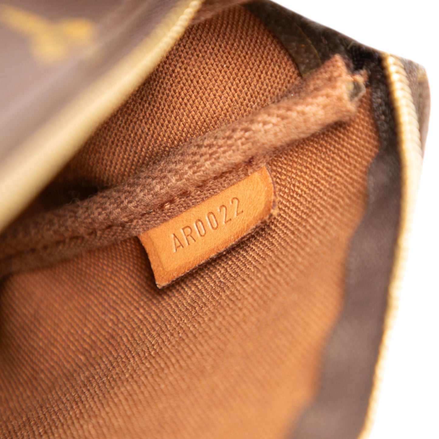 Louis Vuitton Monogram Pochette Accessoires