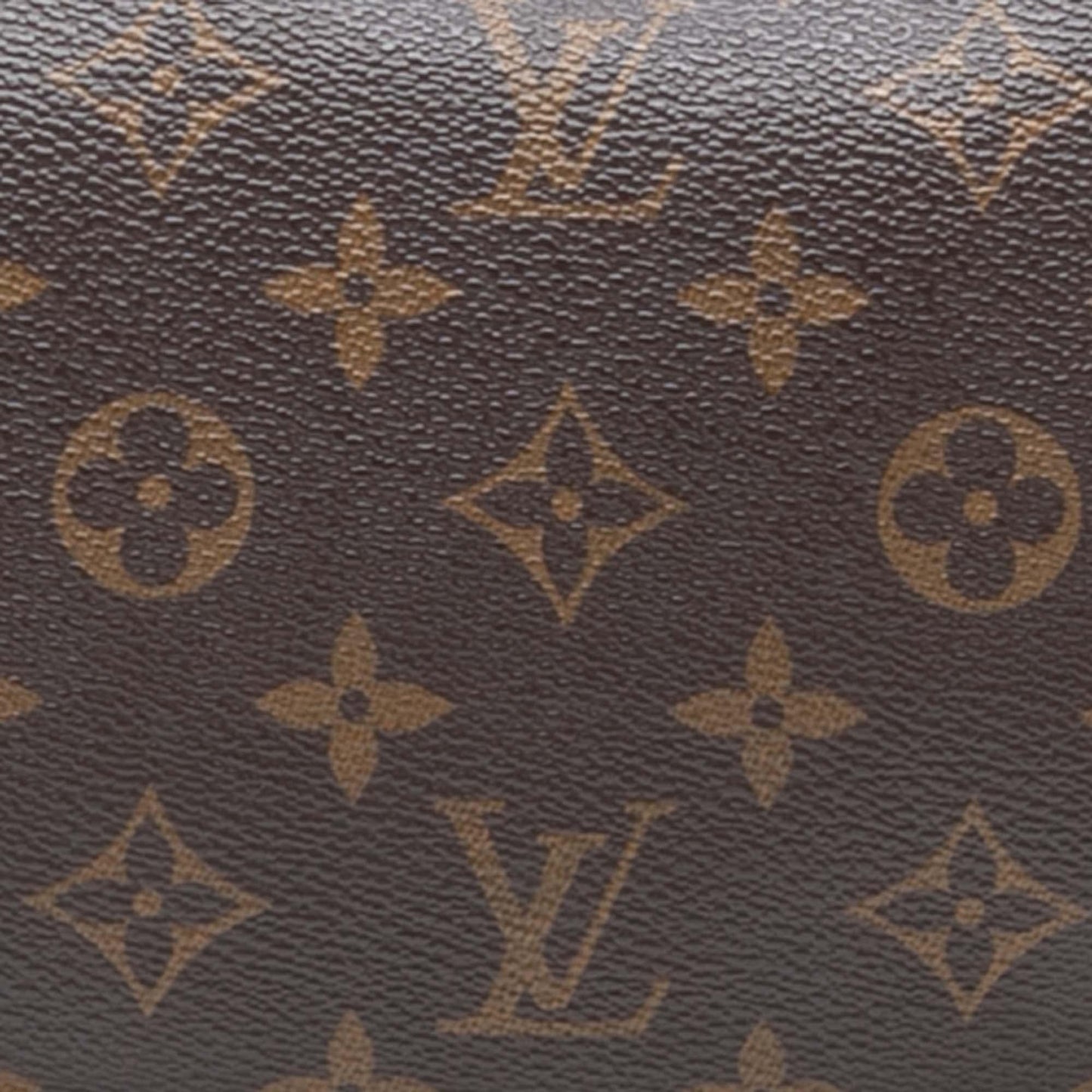 Louis Vuitton Monogram Pochette Accessoires