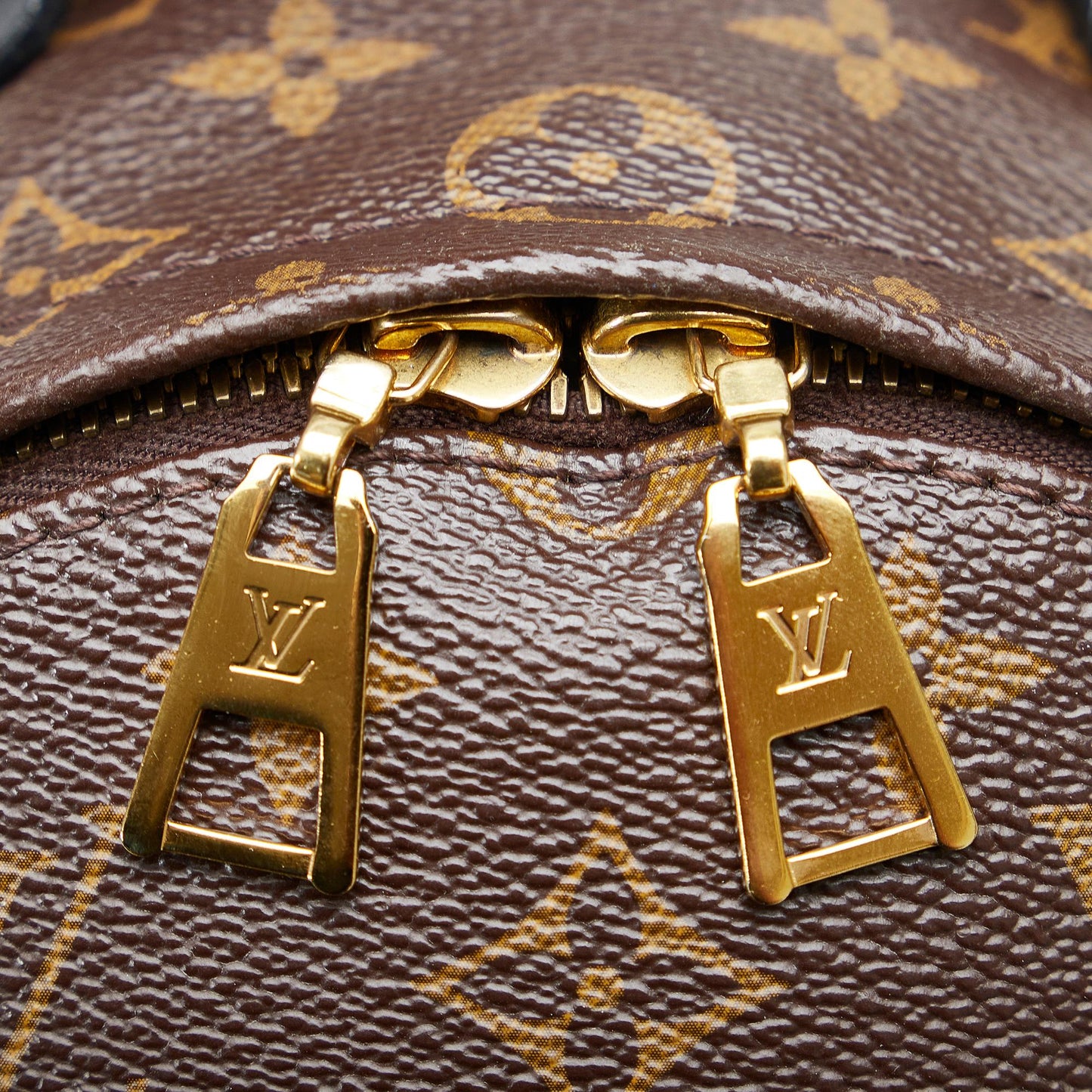 Louis Vuitton Monogram Reverse Palm Springs PM (SHG-SEIfT1)