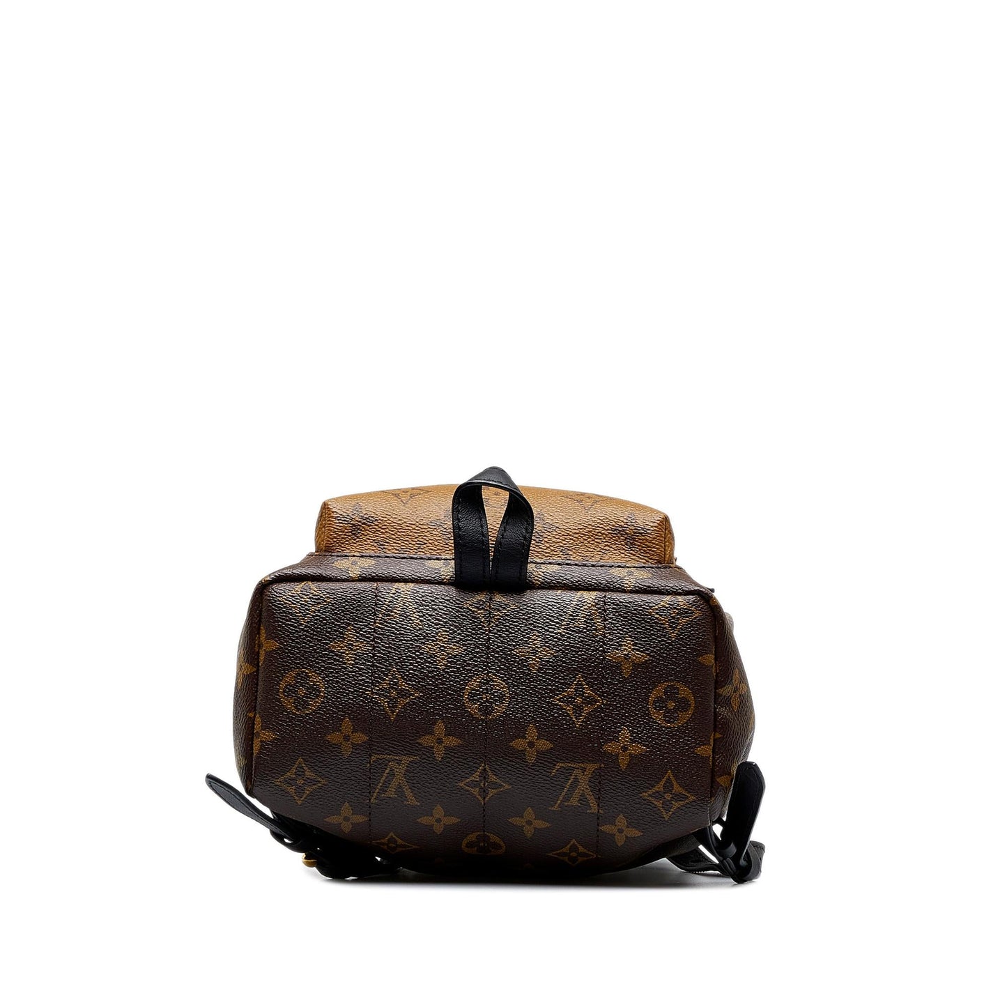 Louis Vuitton Monogram Reverse Palm Springs PM (SHG-YqLHt3)