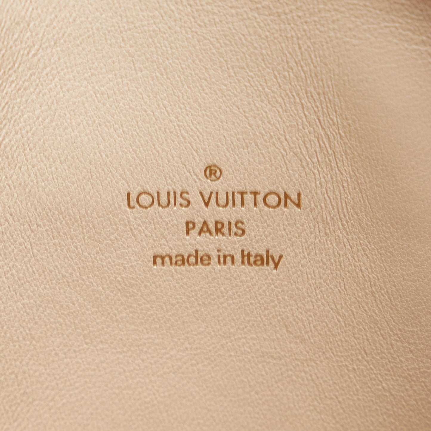 Louis Vuitton Monogram Speedy Amazon PM (SHG-JbbN28)