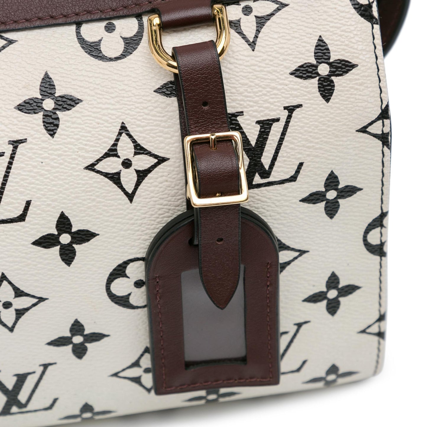 Louis Vuitton Monogram Speedy Amazon PM (SHG-PJB3SA)