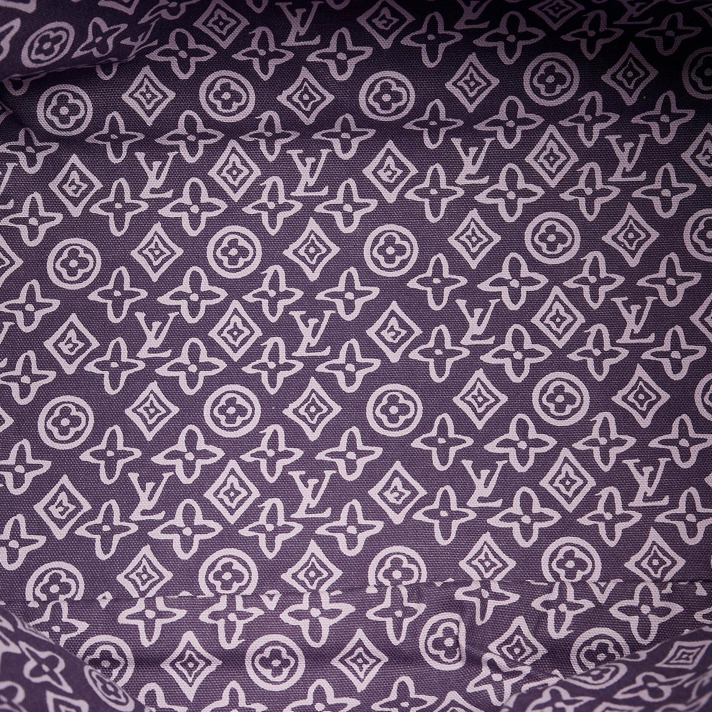 Louis Vuitton Monogram Tahitienne Cabas PM (SHG-0Kf6wp)