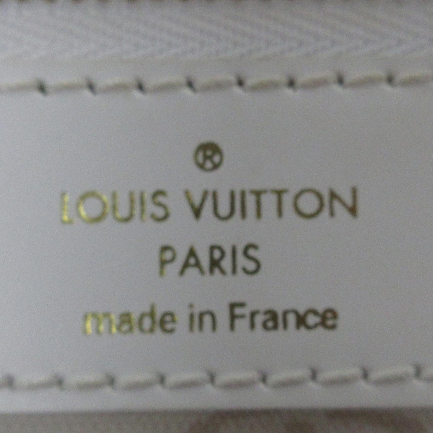 Louis Vuitton Monogram Tahitienne Cabas PM (SHG-AQ0F43)