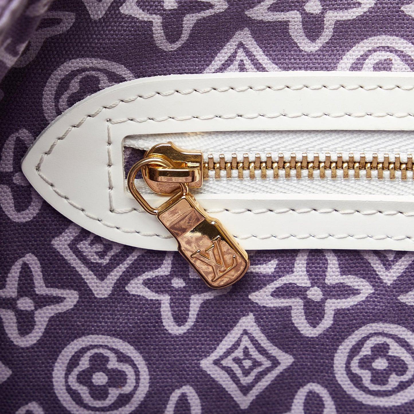 Louis Vuitton Monogram Tahitienne Cabas PM (SHG-am44mw)