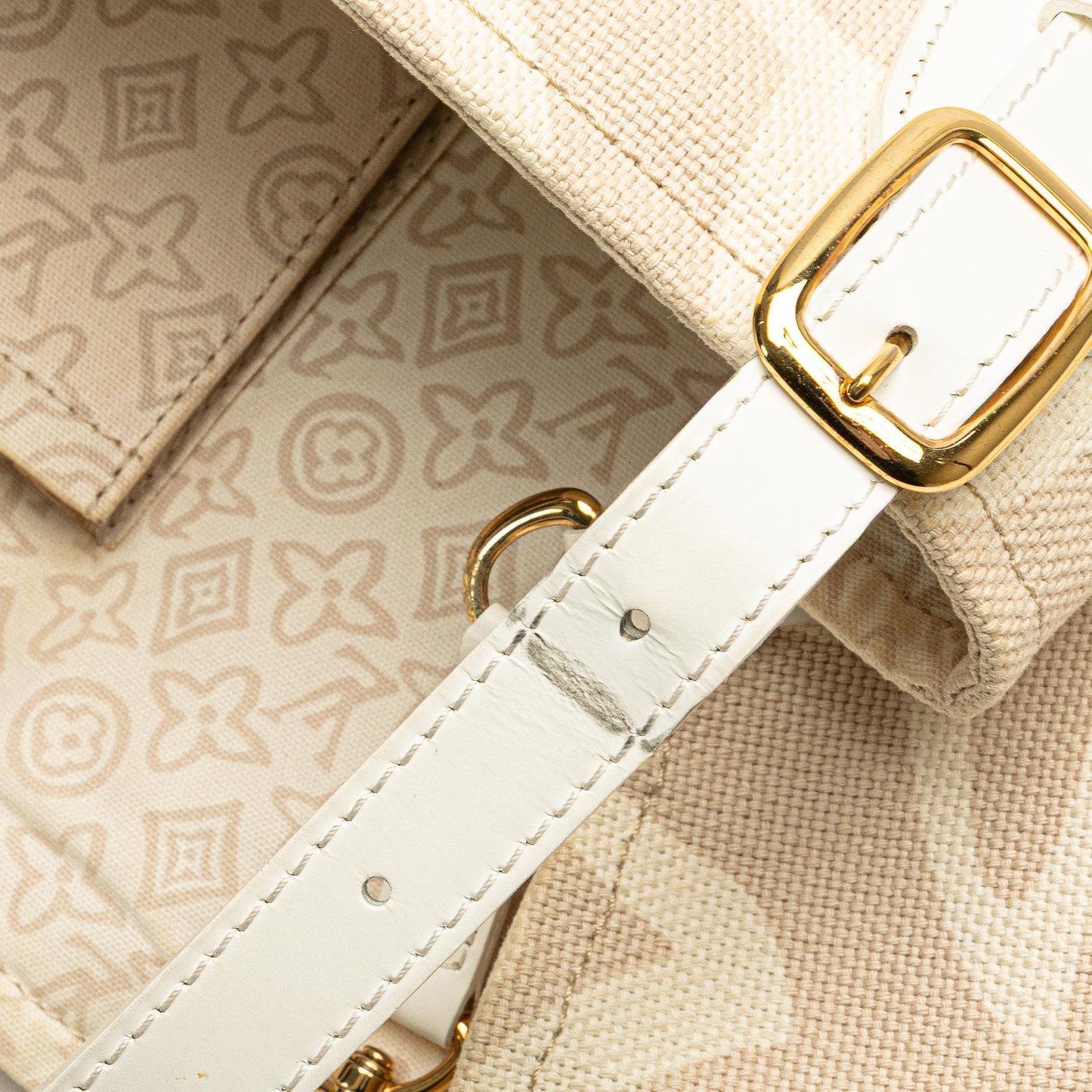 Louis Vuitton Monogram Tahitienne Cabas PM