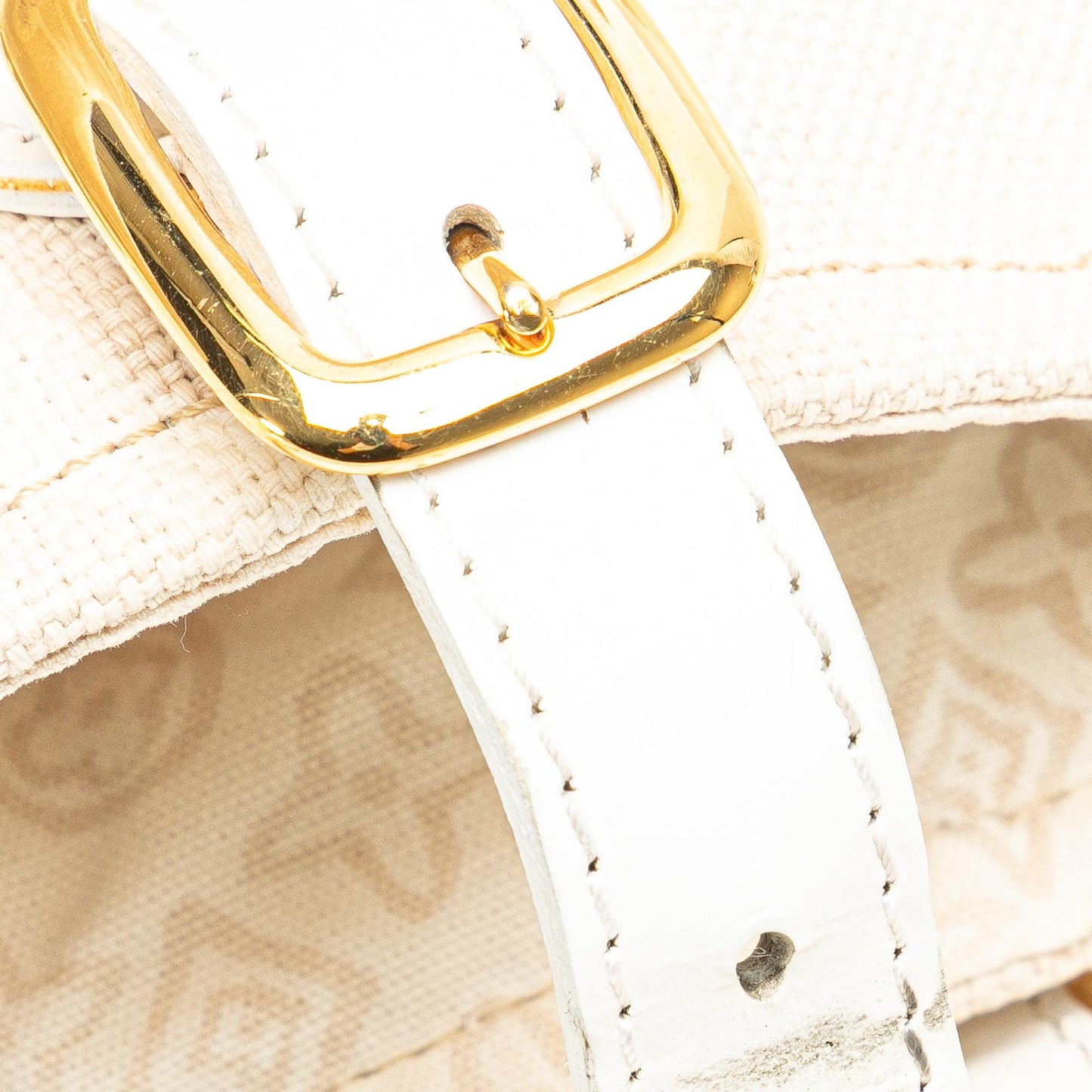 Louis Vuitton Monogram Tahitienne Cabas PM