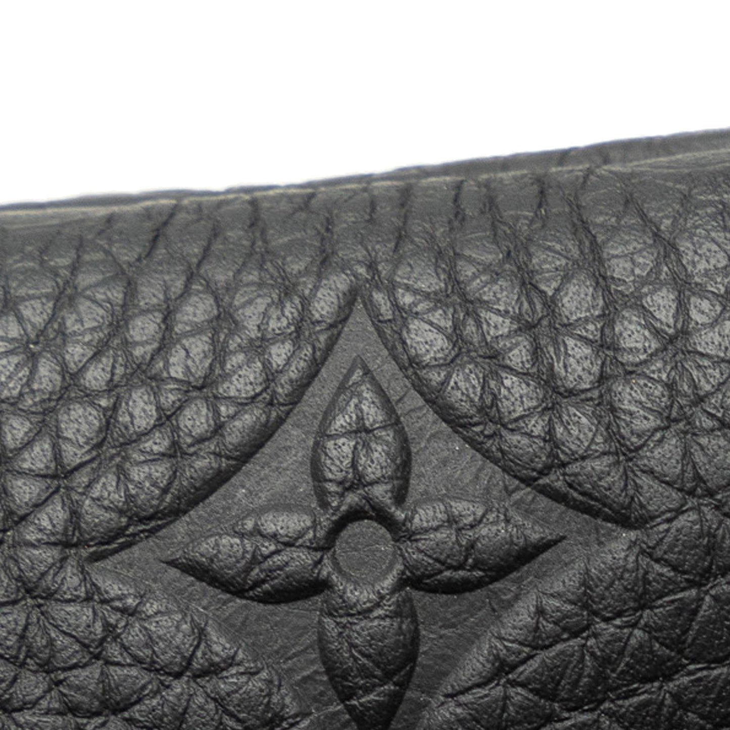 Louis Vuitton Monogram Taurillon A4 Pouch (SHG-oDZOYH)