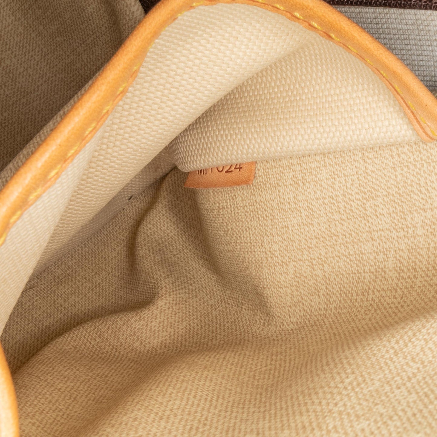 Louis Vuitton Monogram Trouville