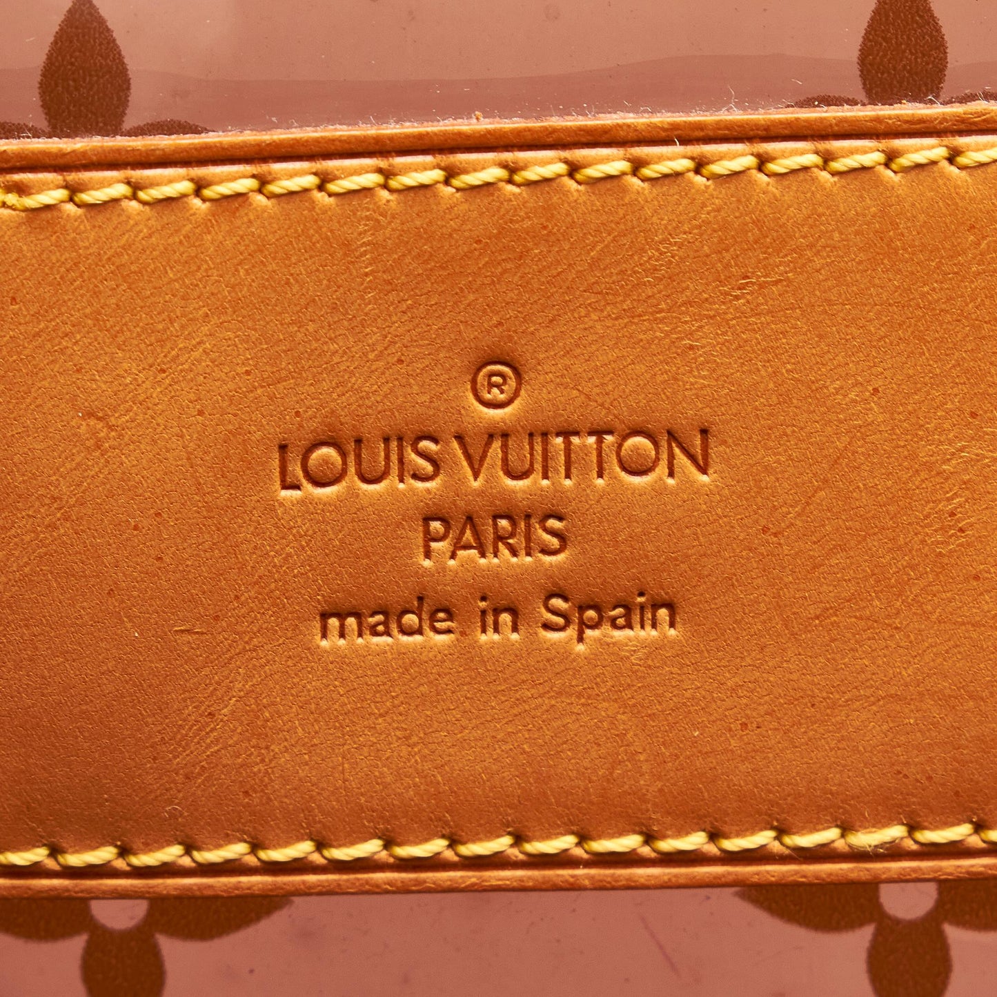 Louis Vuitton Monogram Vinyl Cabas Sac Ambre MM (SHG-KA6Dir)