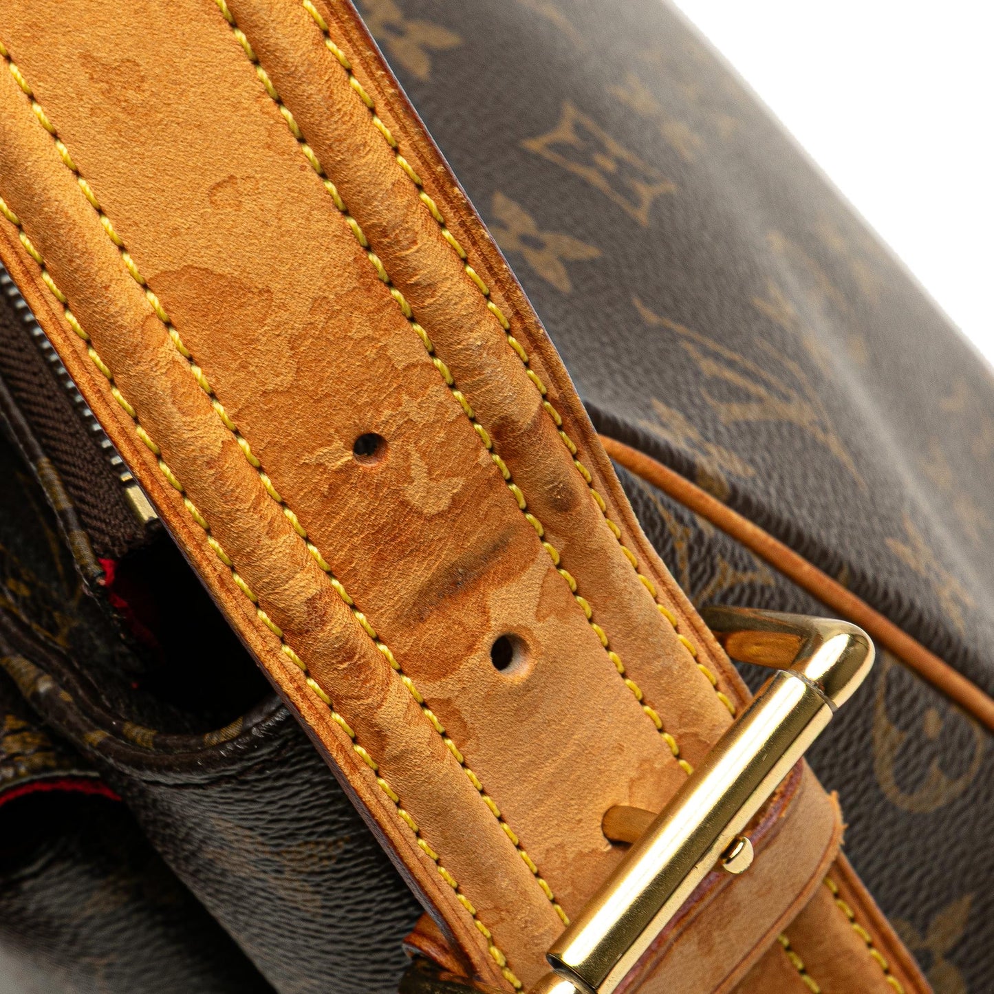 Louis Vuitton Monogram Viva Cite GM
