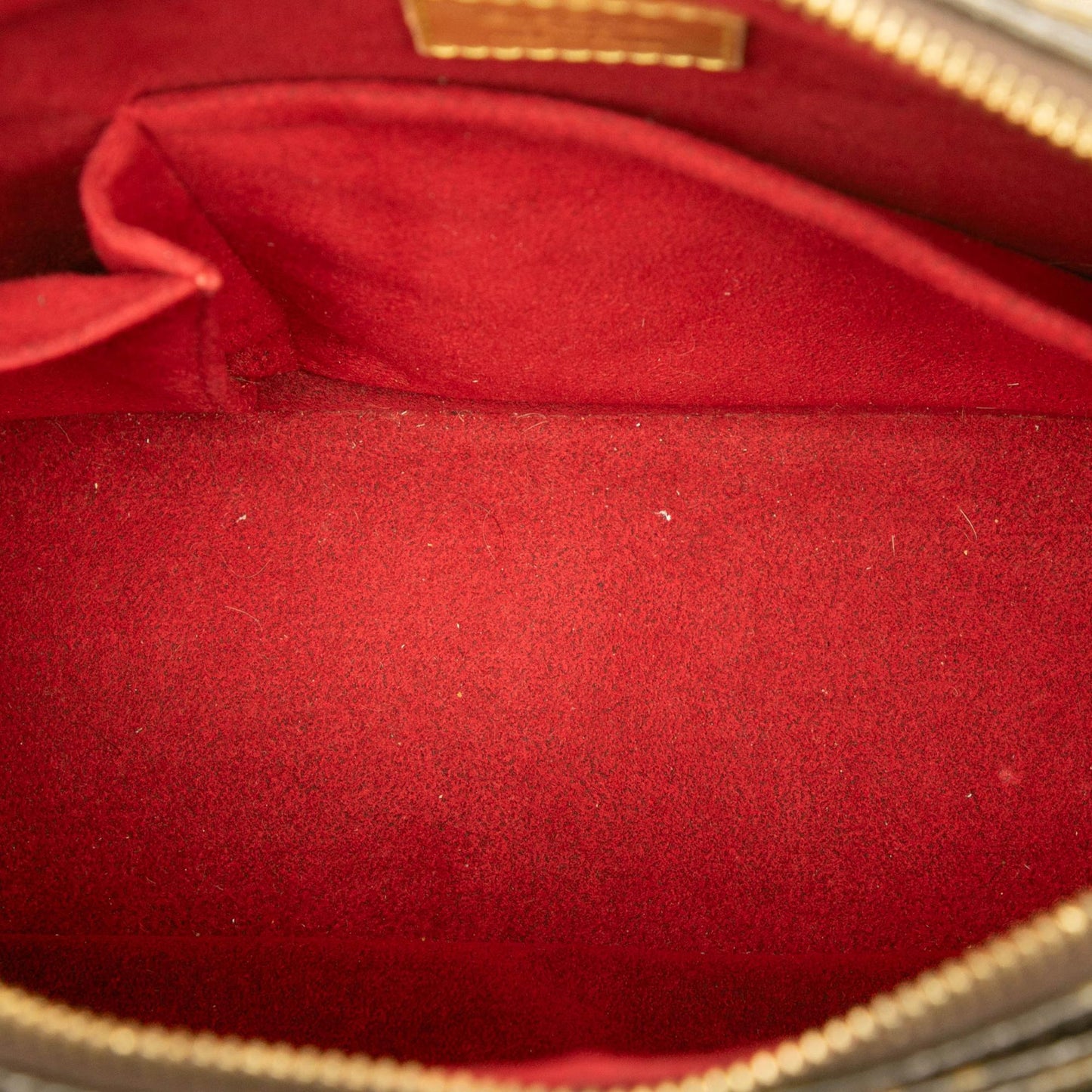 Louis Vuitton Monogram Viva Cite GM