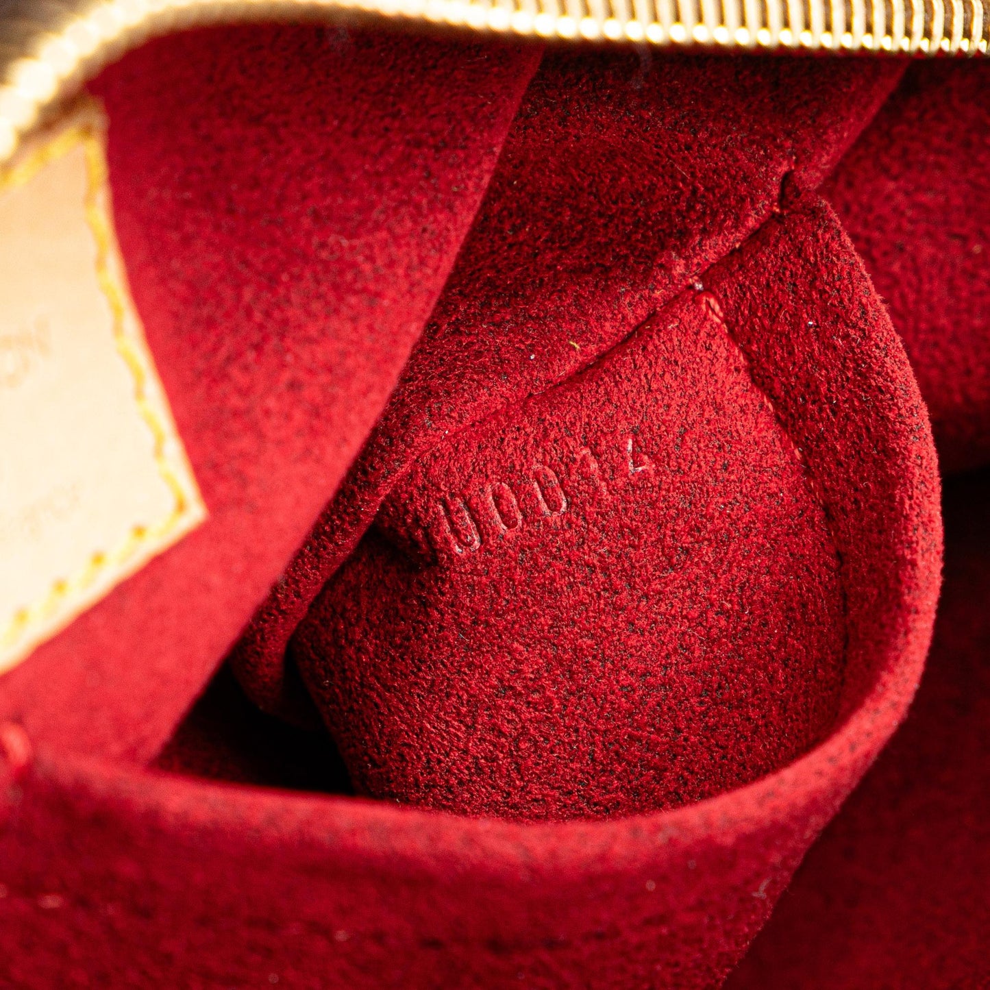 Louis Vuitton Monogram Viva Cite MM