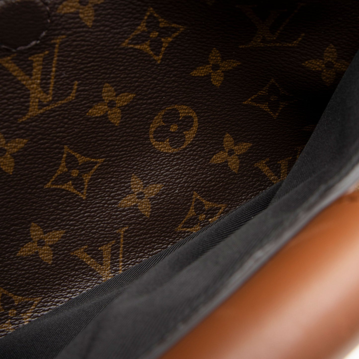 Louis Vuitton Reverse Monogram Dauphine PM Hobo