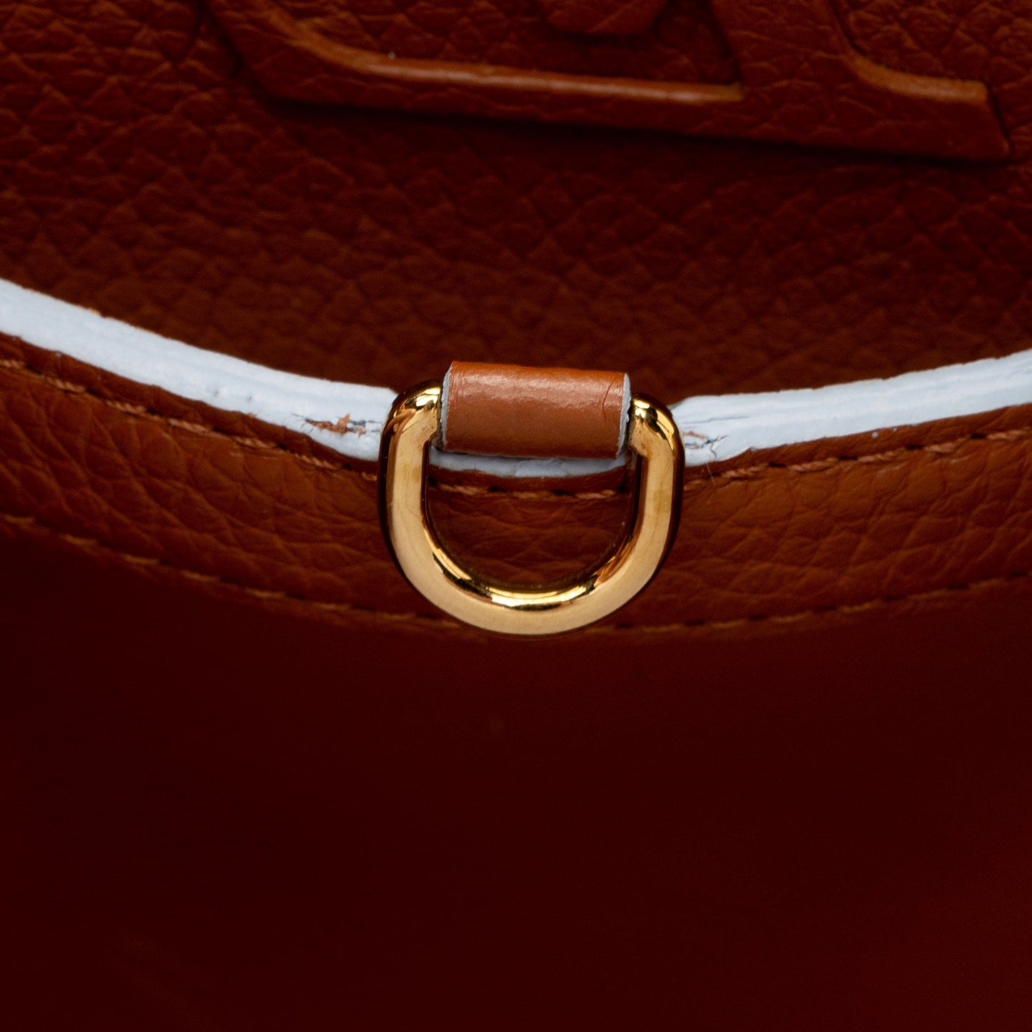 Louis Vuitton Taurillon Capucines MM Bag