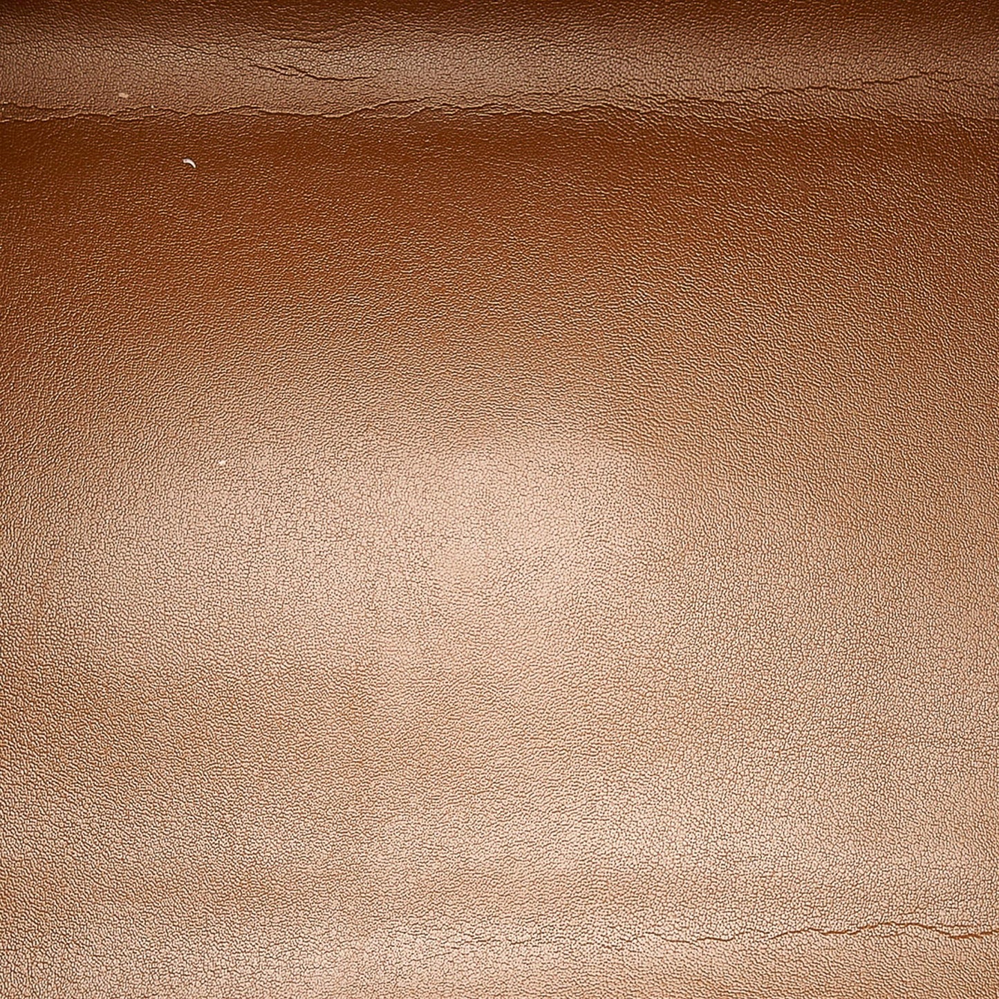 Louis Vuitton Vernis Tompkins Square (SHG-29852)