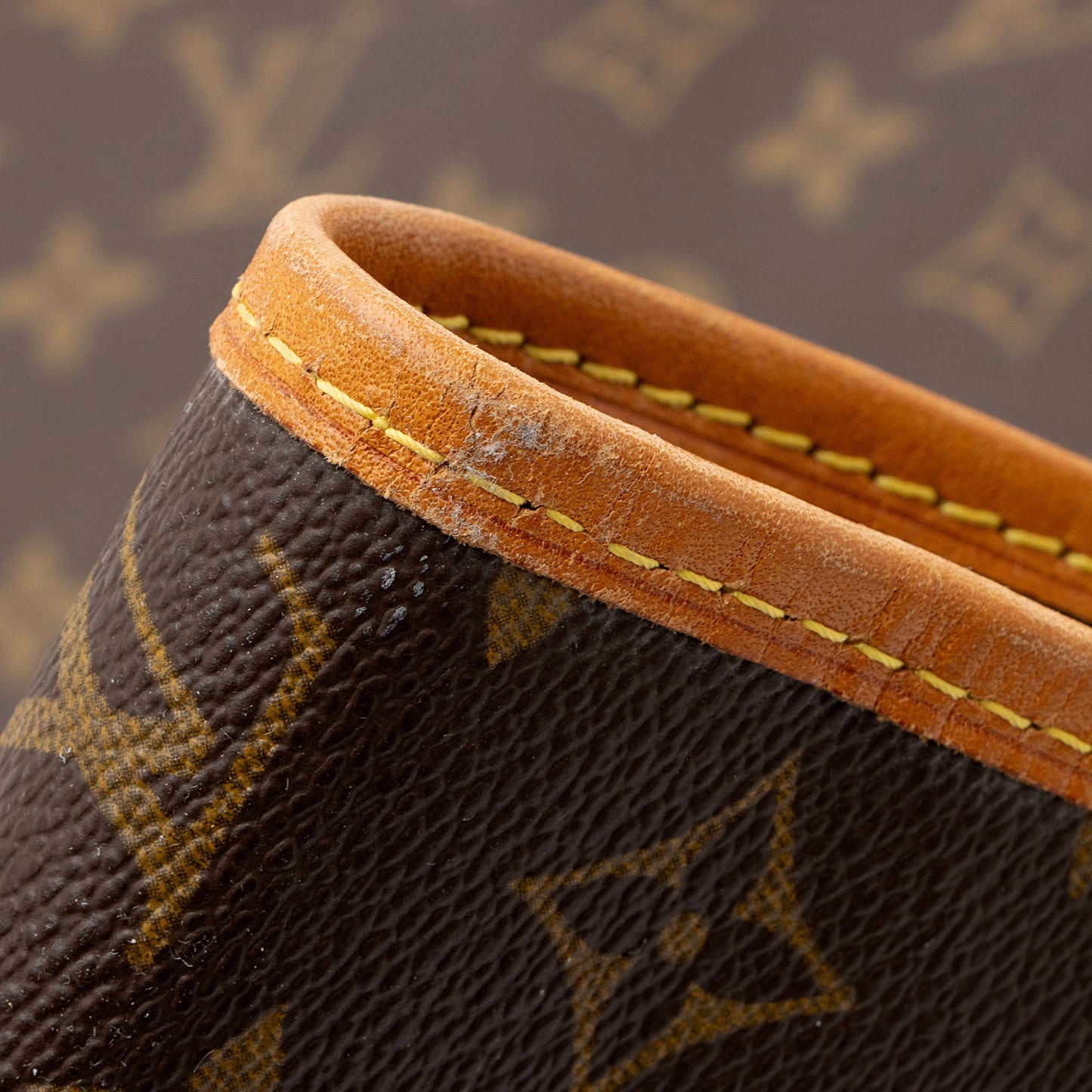 Louis Vuitton Vintage Monogram Canvas Garment Cover