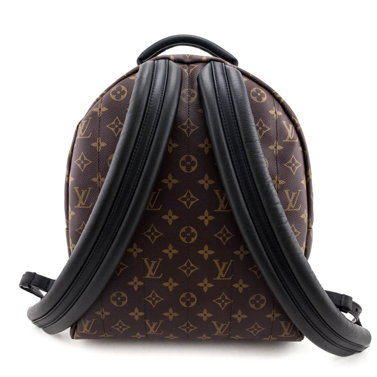 Louis Vuitton Monogram Palm Springs MM