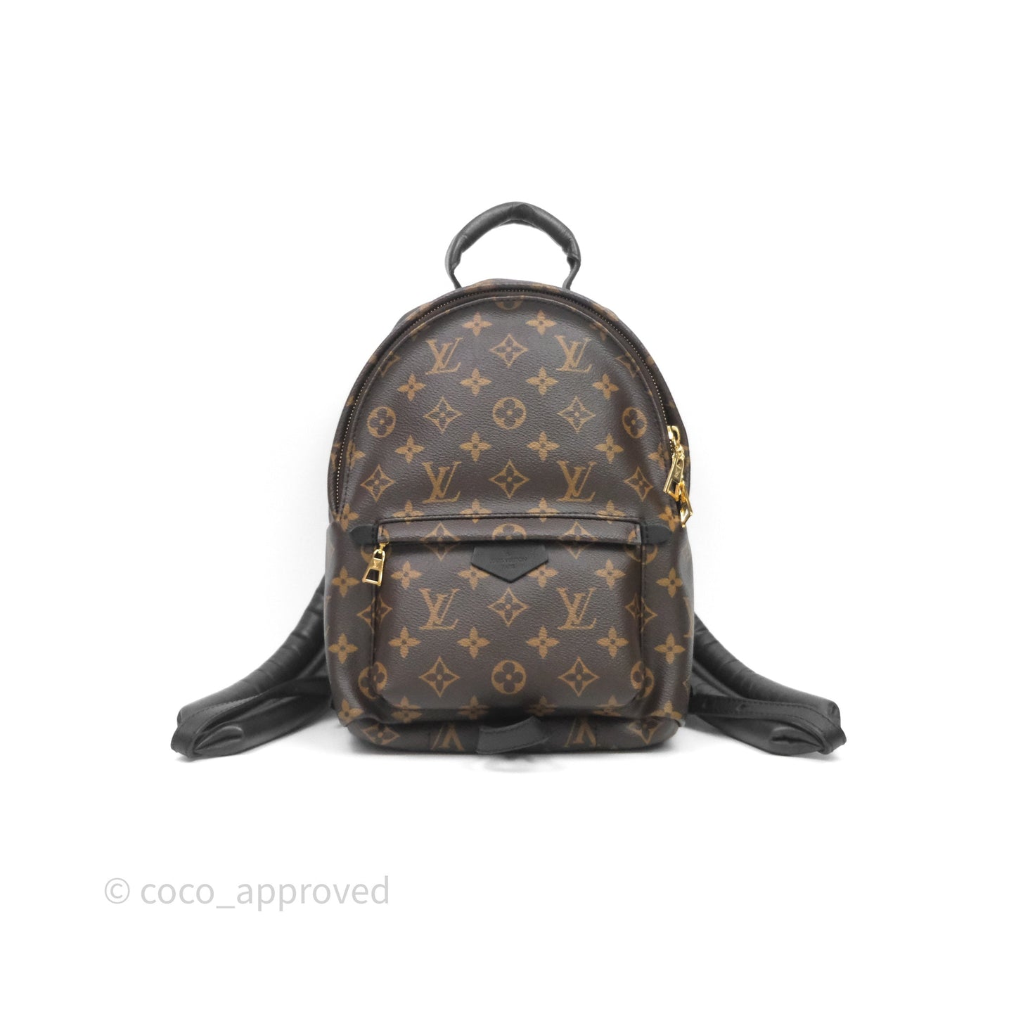 Louis Vuitton Palm Springs Backpack⁣ Monogram PM