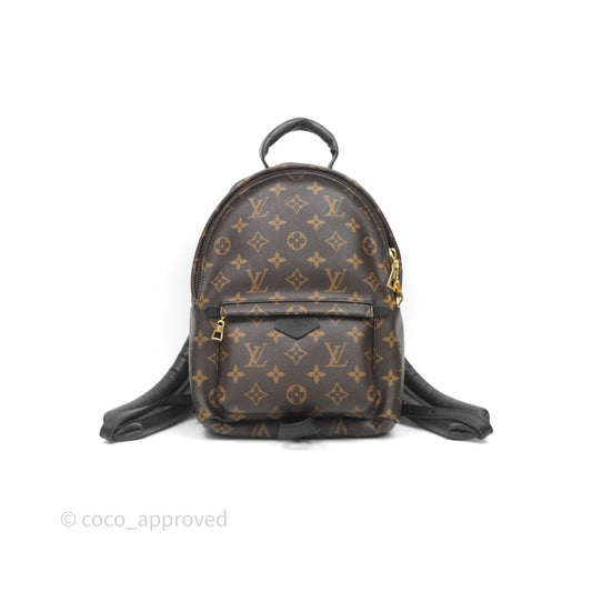 Louis Vuitton Palm Springs Backpack⁣ Monogram PM
