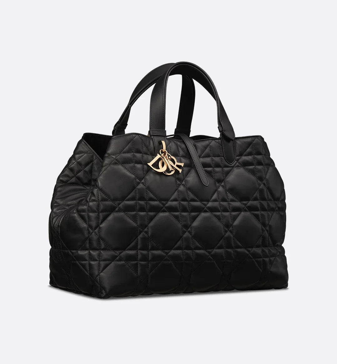 Large Luxury Dior Toujours Bag