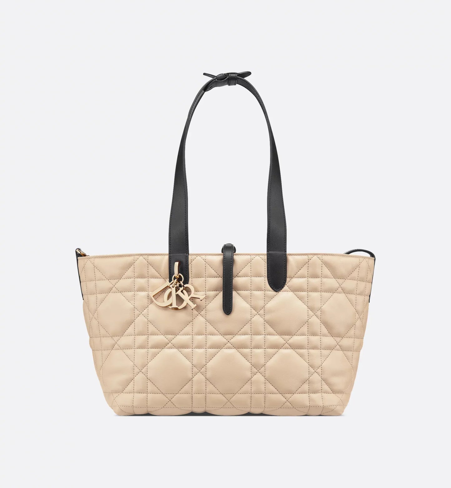 Medium Luxury Dior Toujours Bag