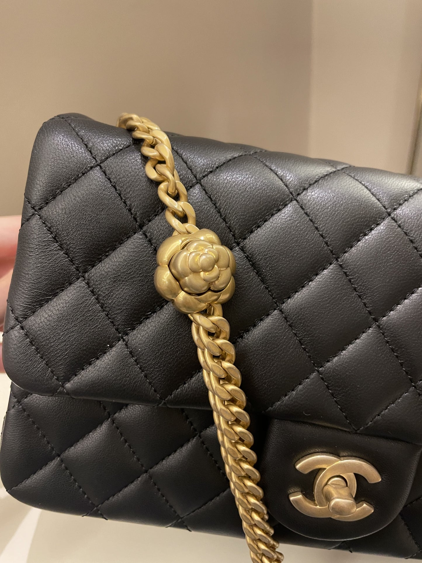 Luxury Chanel 23S Camellia Black Stiff Lambskin