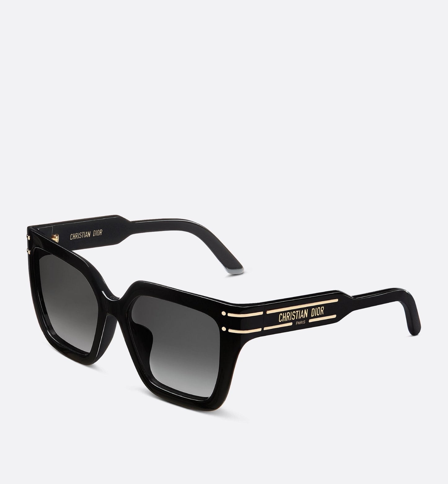 Luxury Diorsignature S10F Black Square Sunglasses
