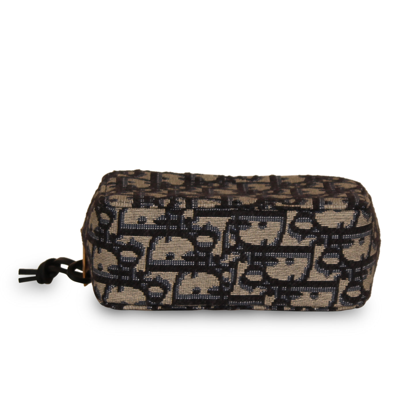 Luxury Dior Mini Belt Bag - Oblique Canvas