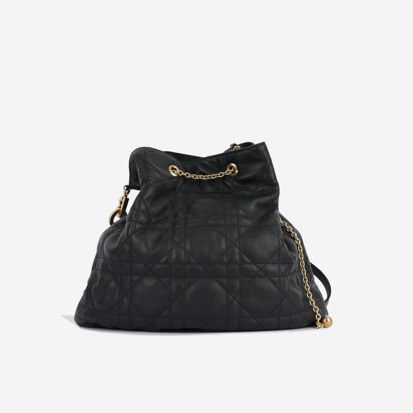Luxury Dior Large Ammi Bag