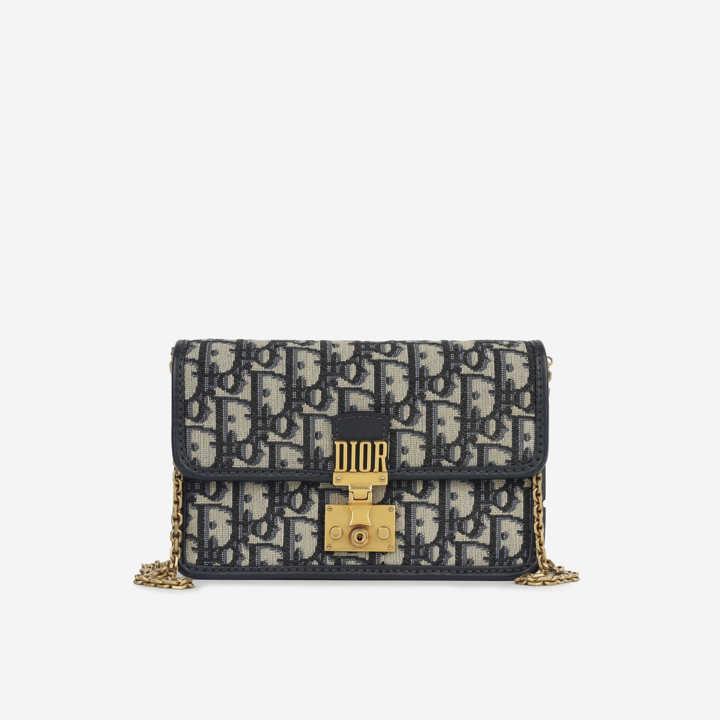 Luxury Dior Luxury Dioraddict Wallet on Chain
