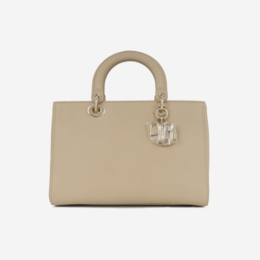 Luxury Dior Medium Lady D-Sire