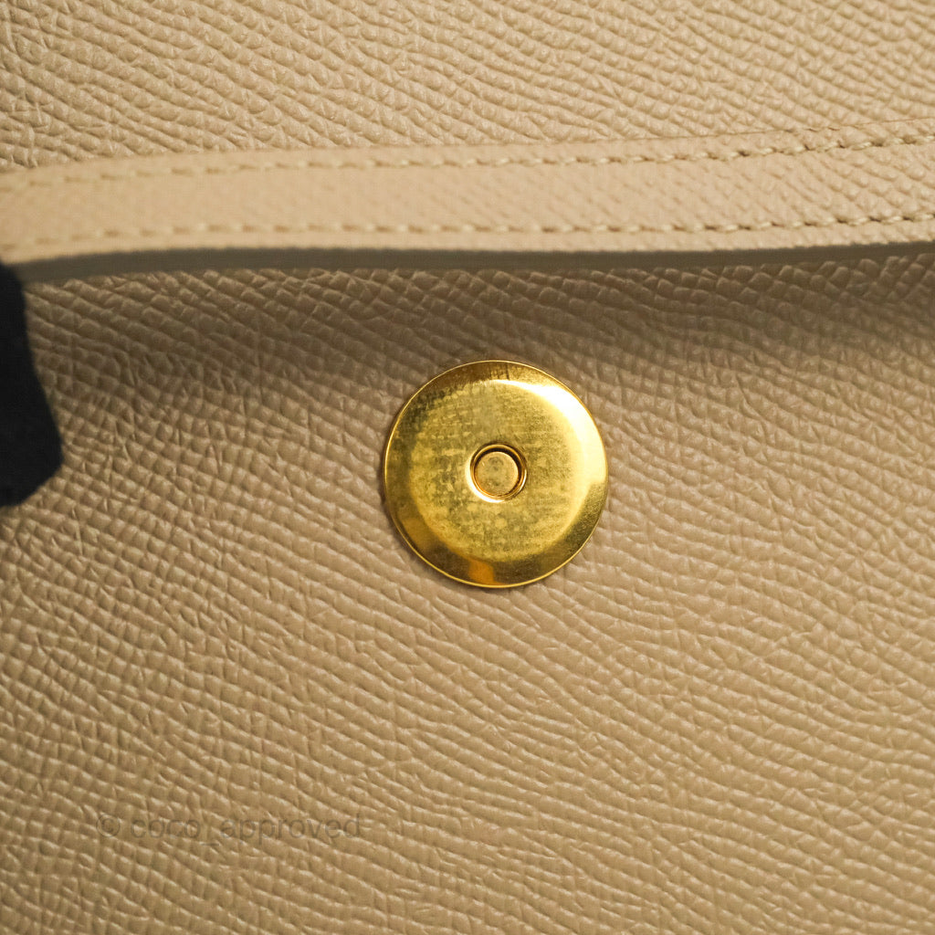 Celine Grained Calfskin Nano Belt Bag Light Taupe Gold Hardware