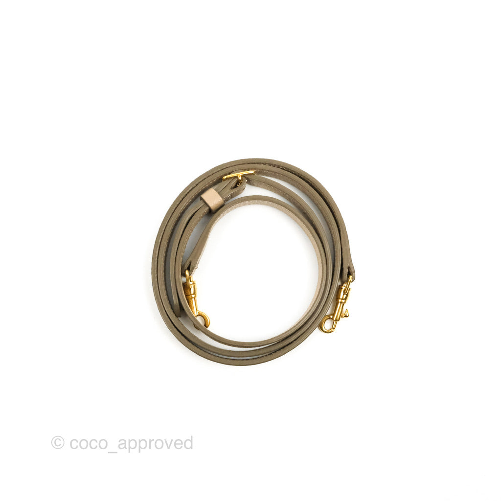 Celine Grained Calfskin Nano Belt Bag Light Taupe Gold Hardware