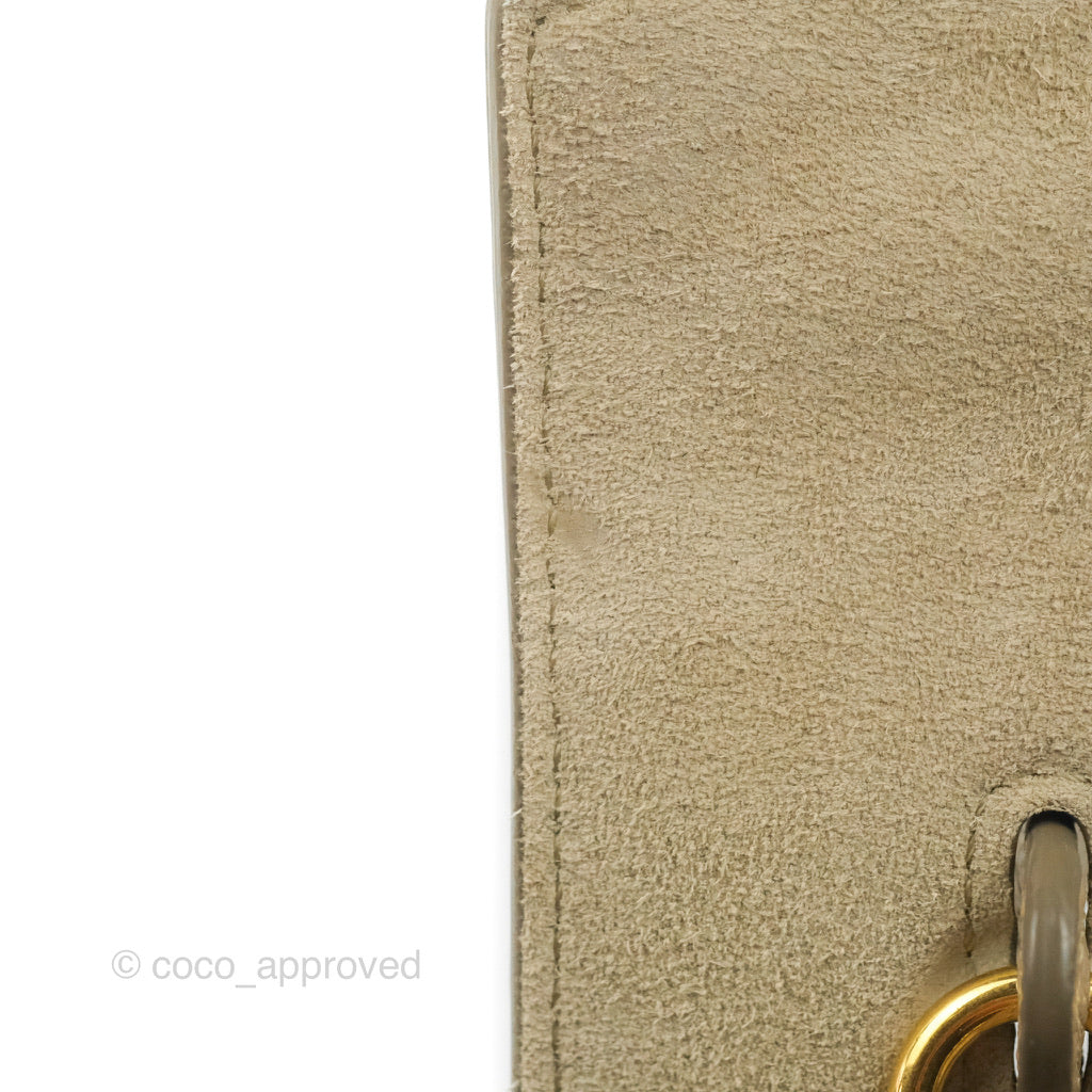 Celine Grained Calfskin Nano Belt Bag Light Taupe Gold Hardware