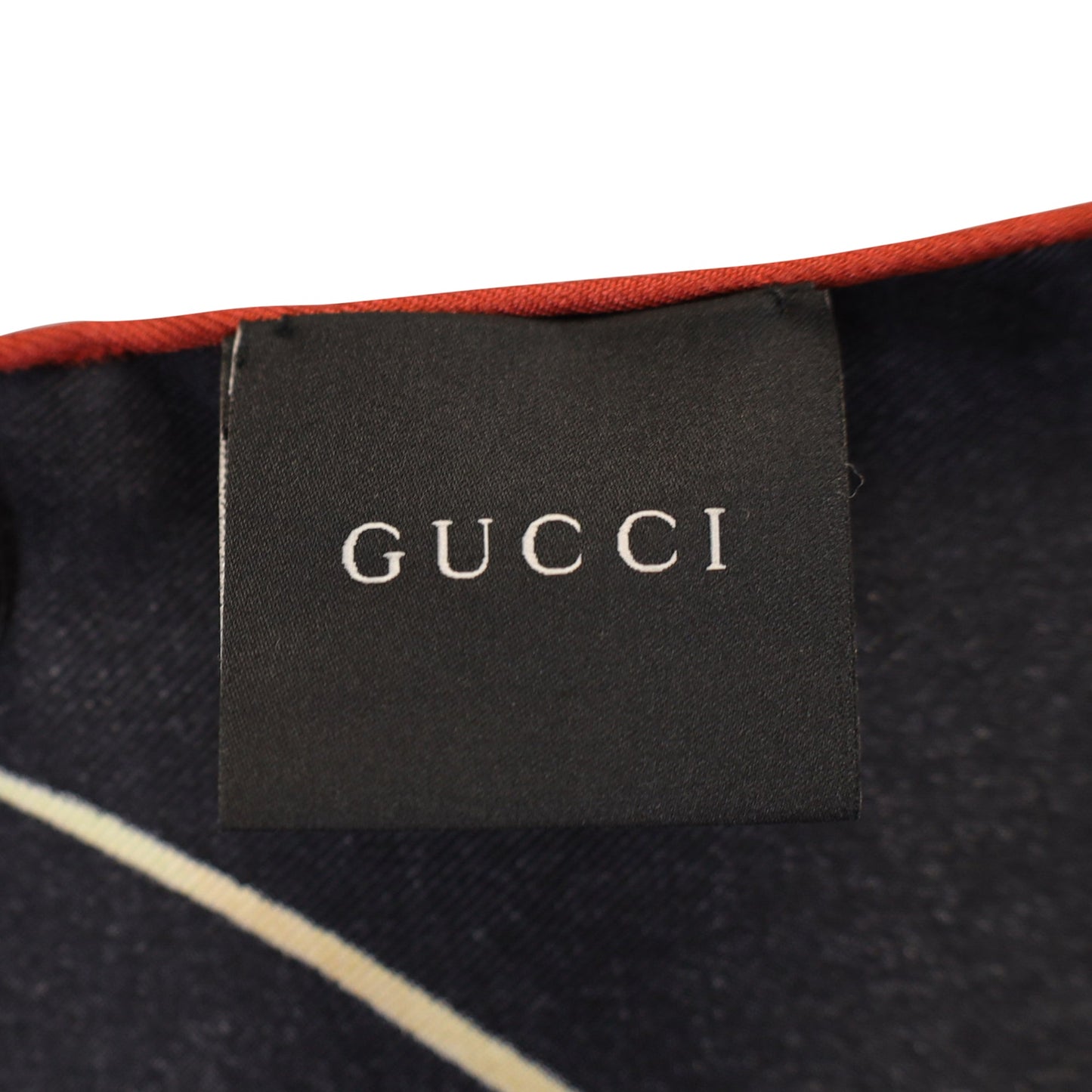 Luxury Gucci Trending 2025 Dragonfly-Print Scarf in Multicolor Silk