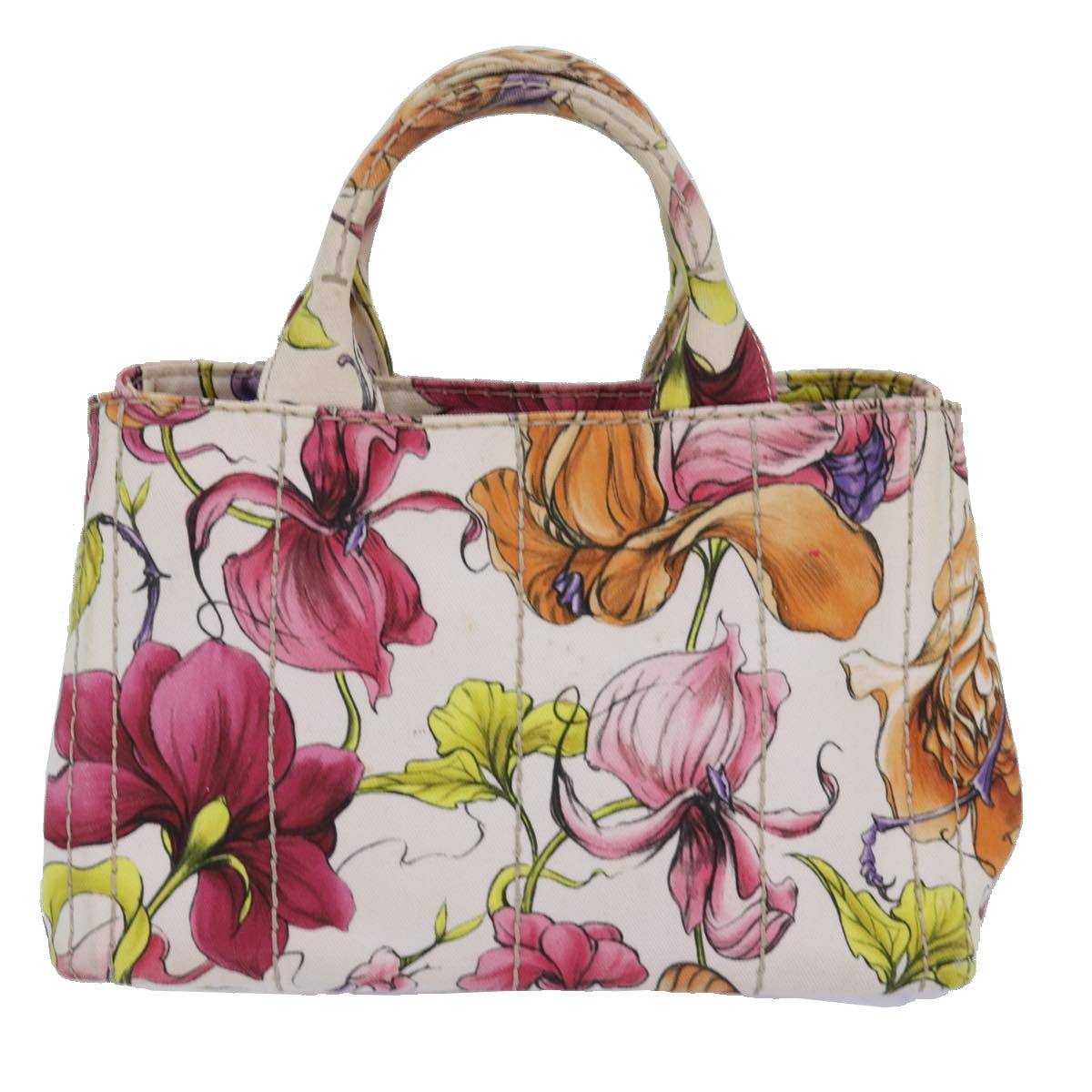 Luxury Prada Flower Pattern Canapa PM Hand Bag Canvas 2way Multicolor  ar12288
