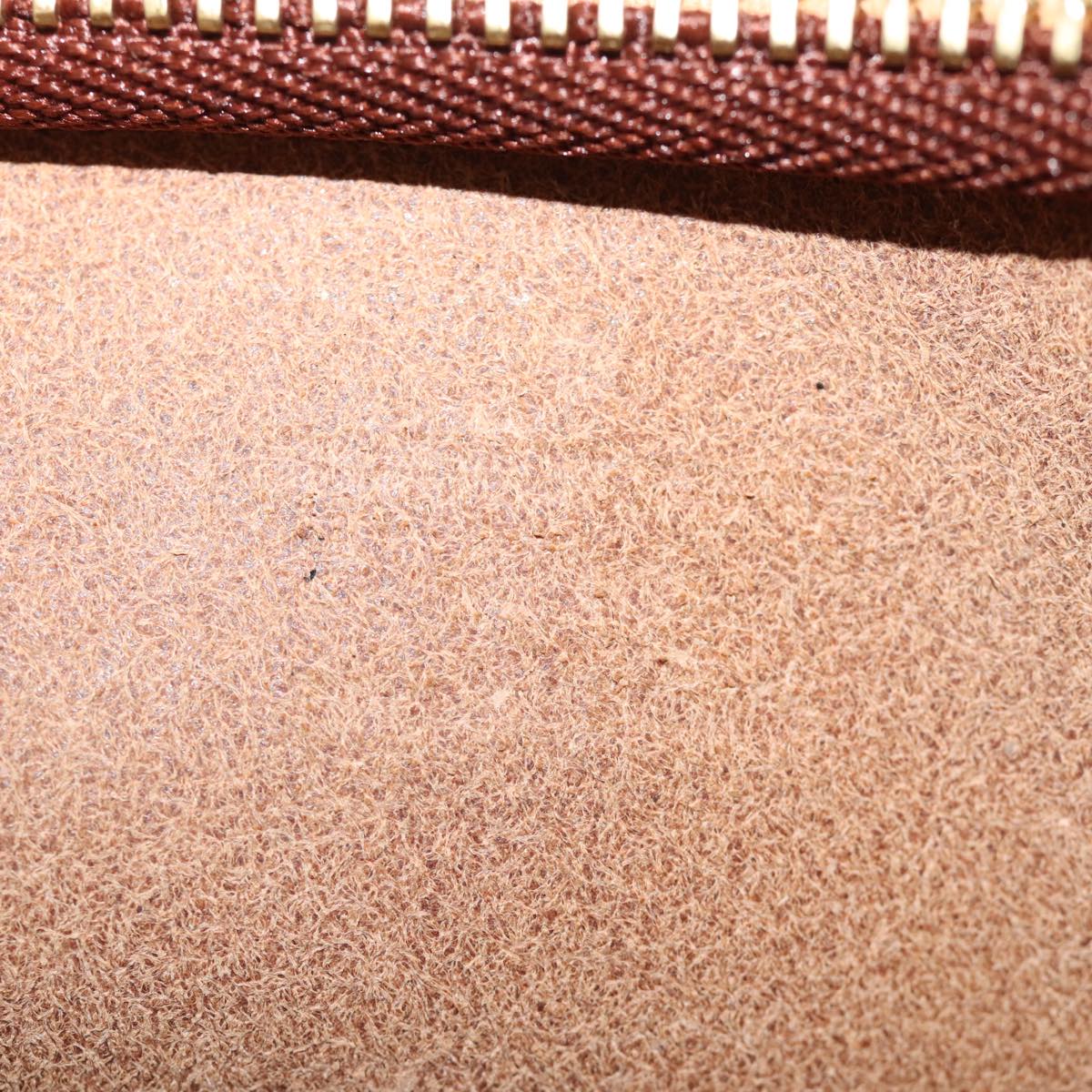 LOUIS VUITTON Nomad Accessory Pouch Leather Beige LV bs14530