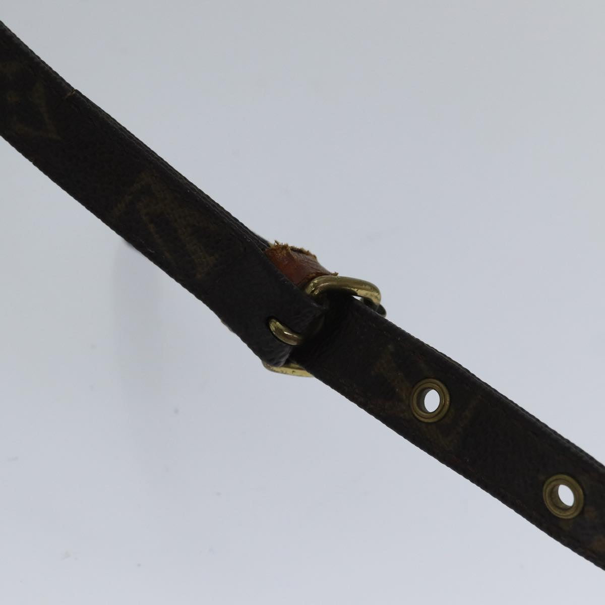 LOUIS VUITTON Monogram Amazon Shoulder Bag M45236 LV bs17739