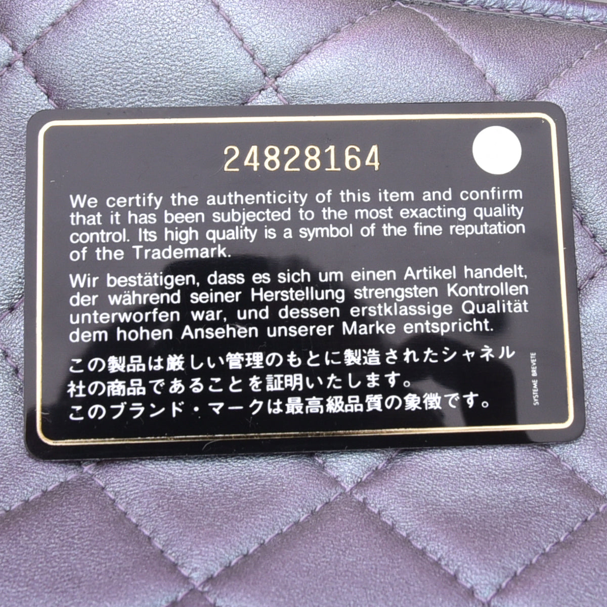 Chanel Purple Rainbow CC Unicorn Gabrielle Iridescent Bag