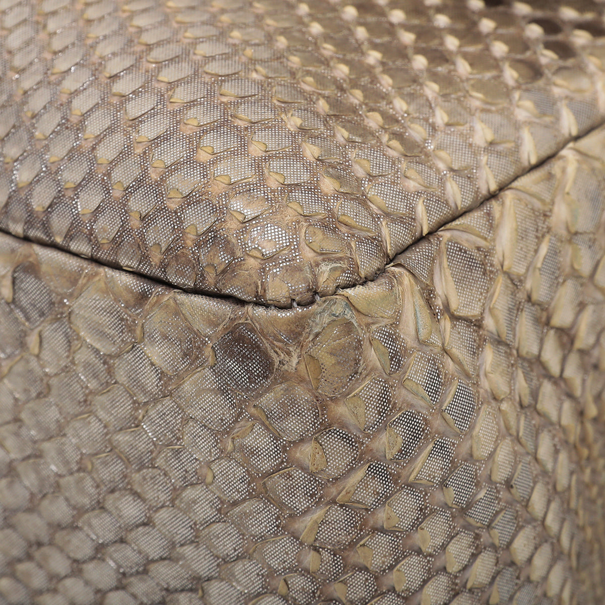 Chanel Metallic Beige Ombre Python Classic Flap Bag Jumbo
