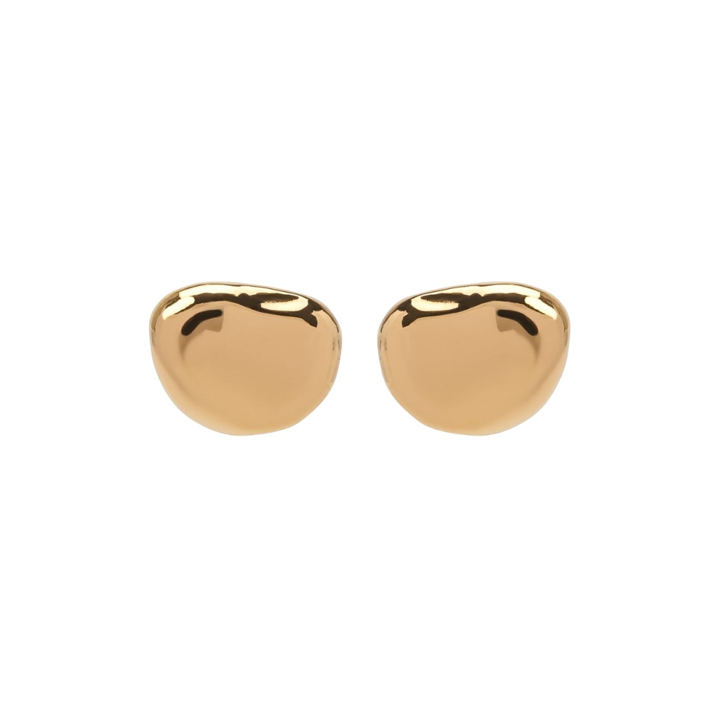 Luxury Bottega Veneta Silver Earrings