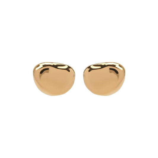 Luxury Bottega Veneta Silver Earrings